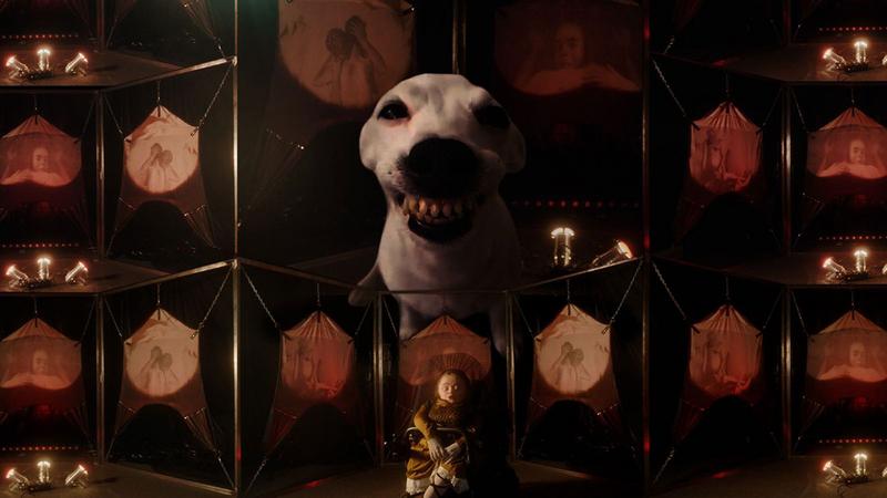 hond en mira thompson