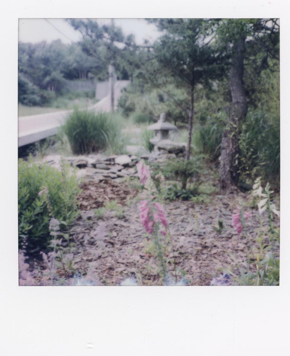 Robert Andy Coombs polaroids 6