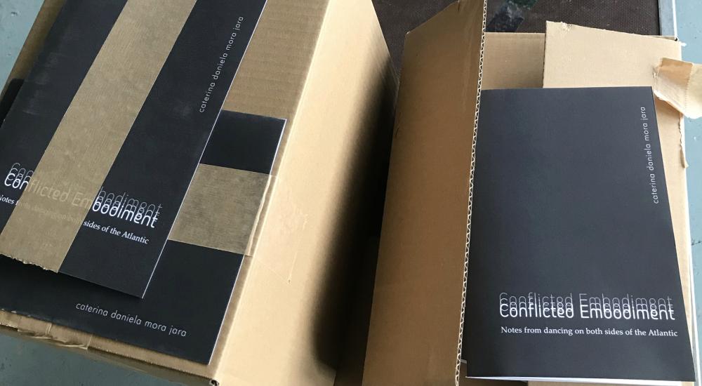 Boxes filled with caterina's book