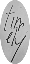 timely logo
