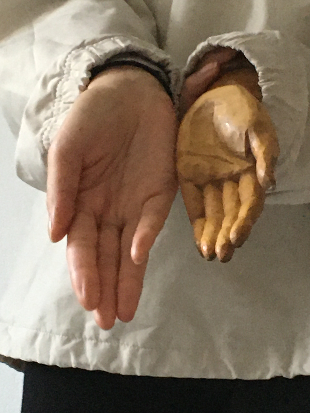 One flesh and one wooden hand with palms facing the camera