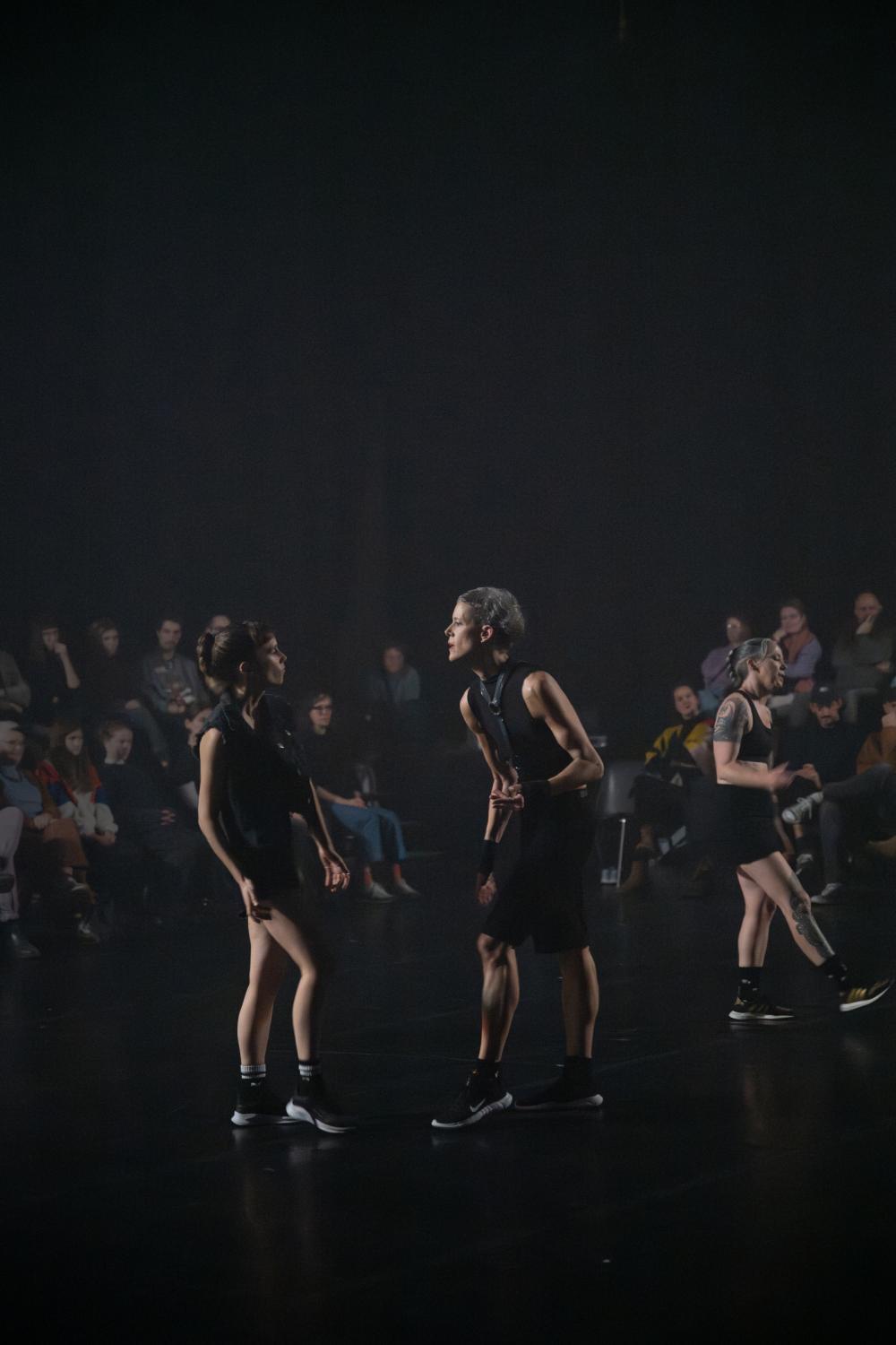 while we are here lisa vereertbrugghen