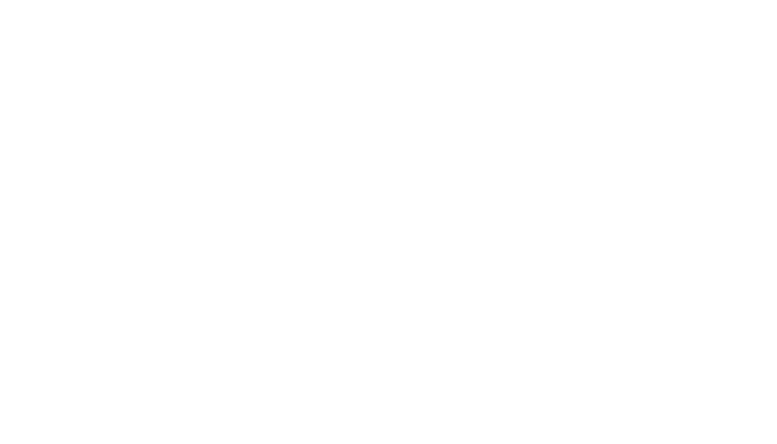 How to be Many Mothers logo