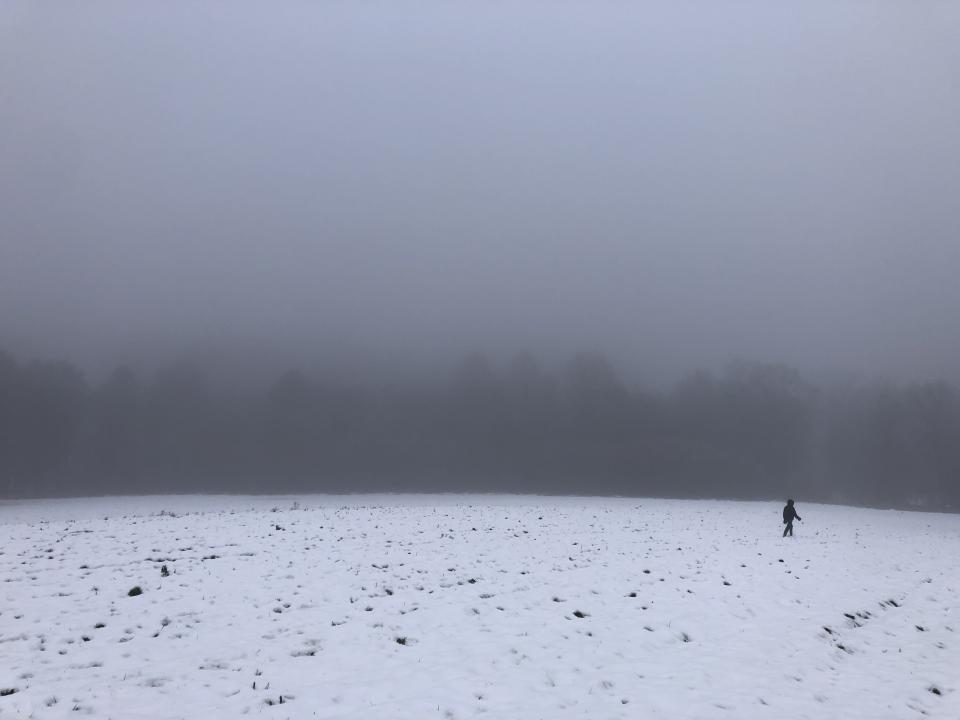 misty snow landscape